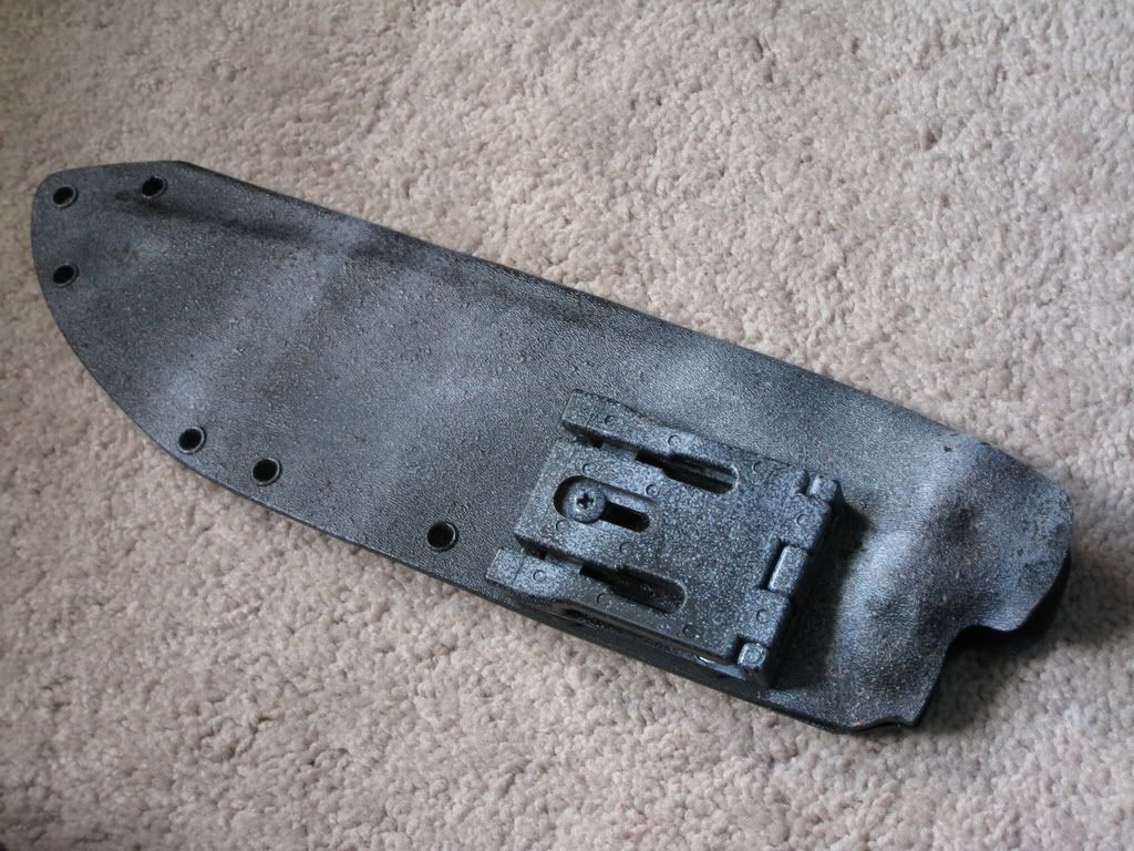 Picture448.jpg