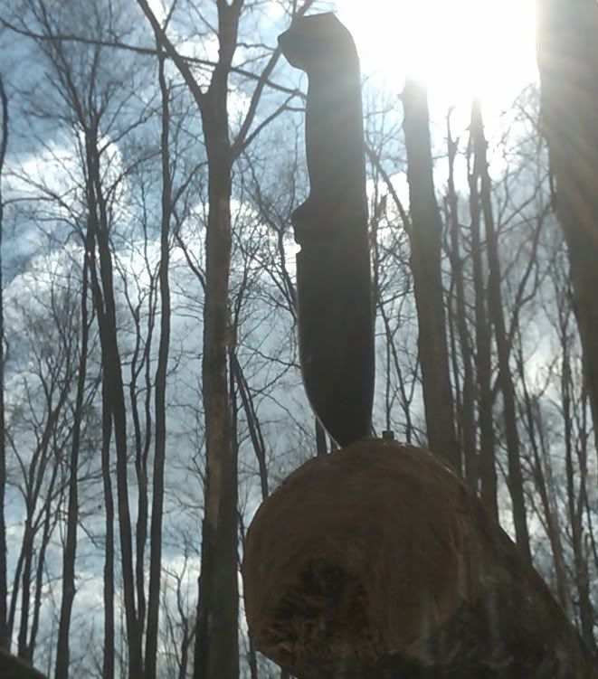 20110212_ac_18.jpg