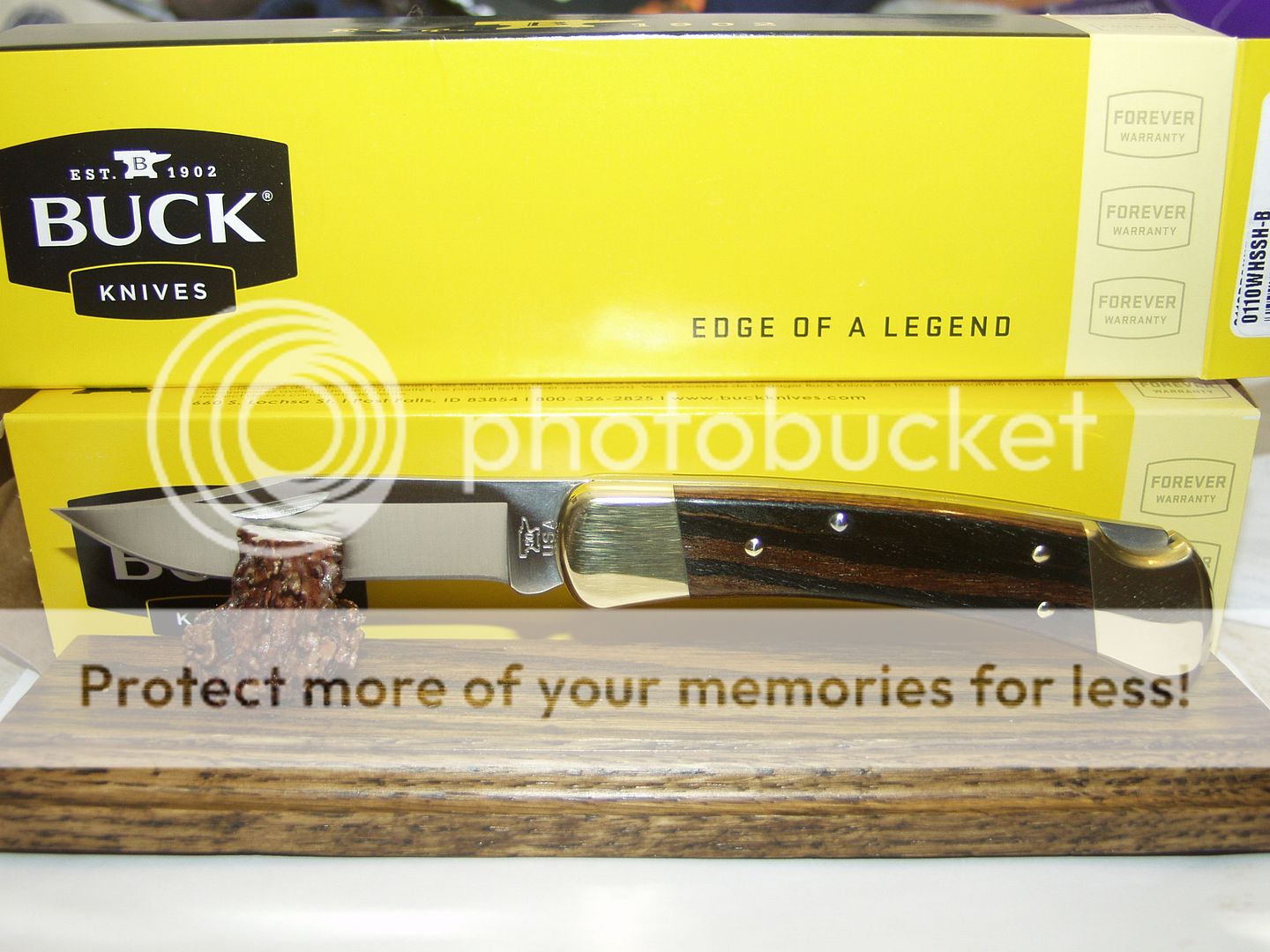 Buck%20with%20no%20name%20001_zpsnrylhotf.jpg