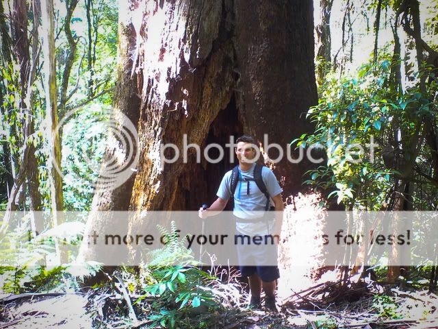 DSC00077-2.jpg
