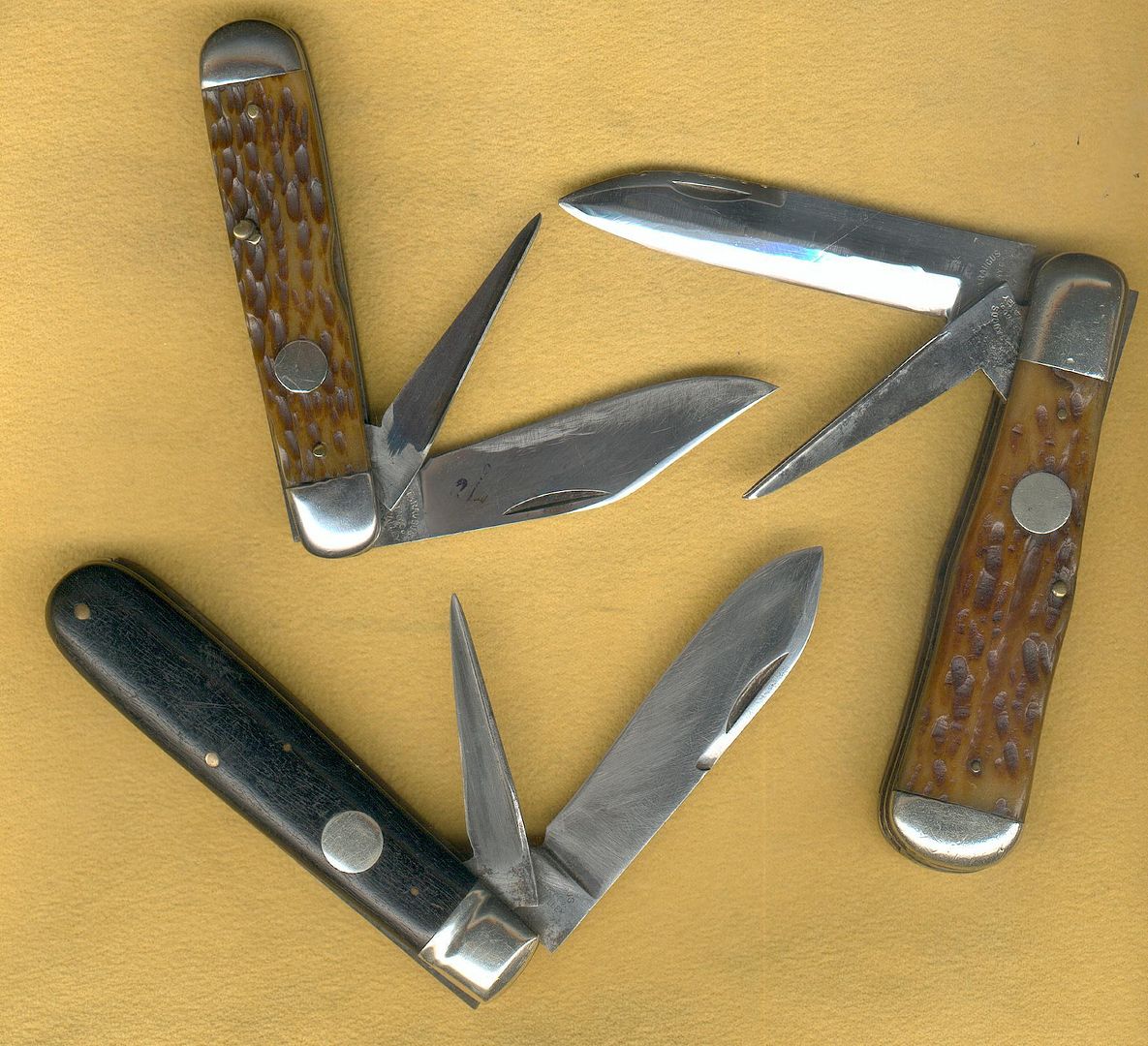 Catt%20HJs%201_zpsra7ertfe.jpg