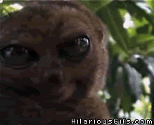 yepAx.gif