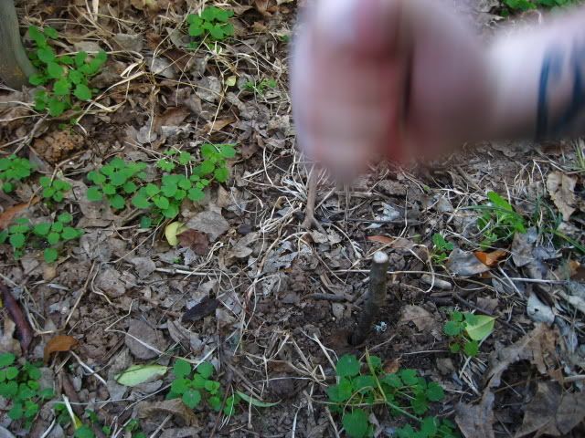 IMG_0740.jpg