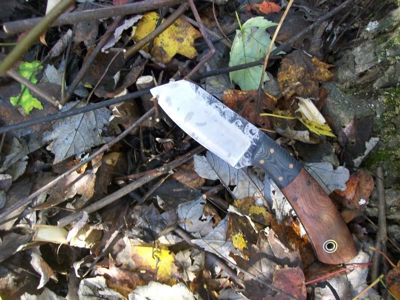 Fiddlebackforge010.jpg