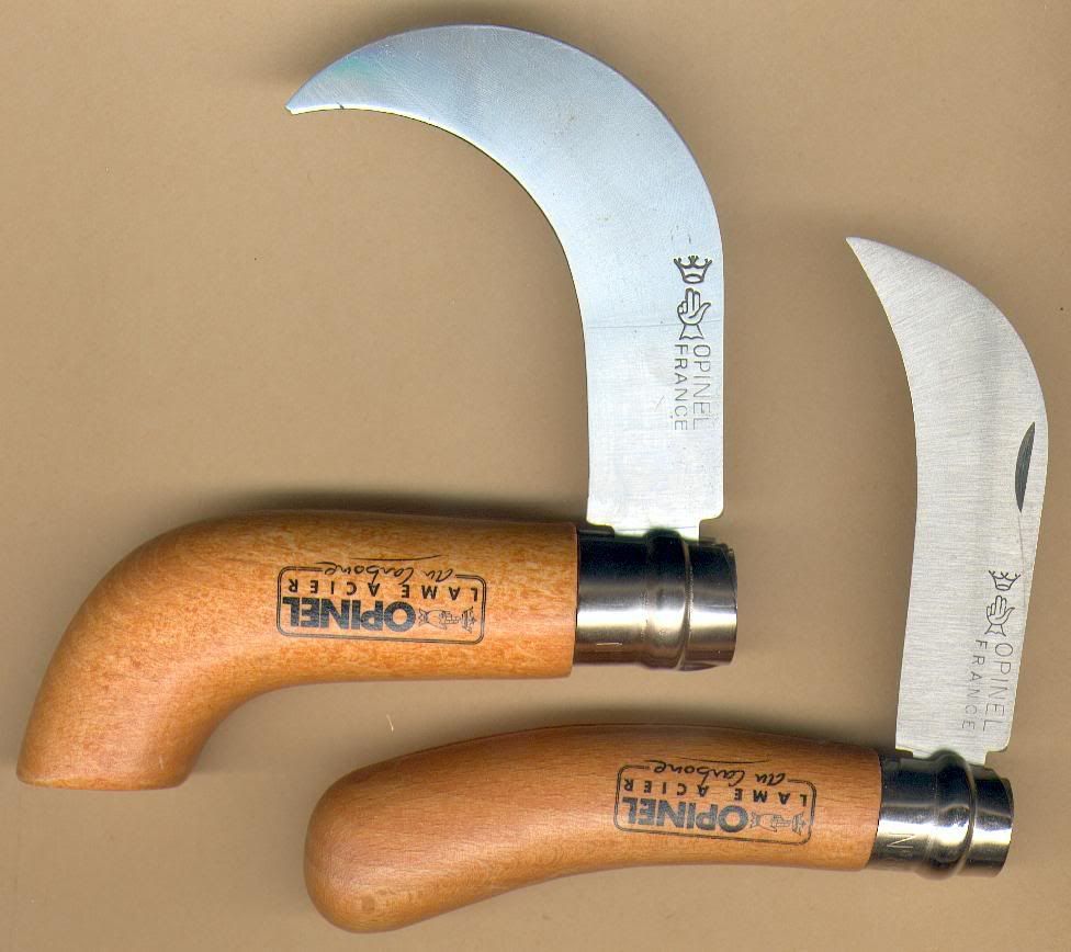 HawkOpinels.jpg