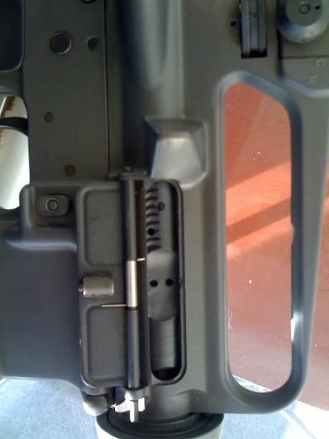 colt5.jpg
