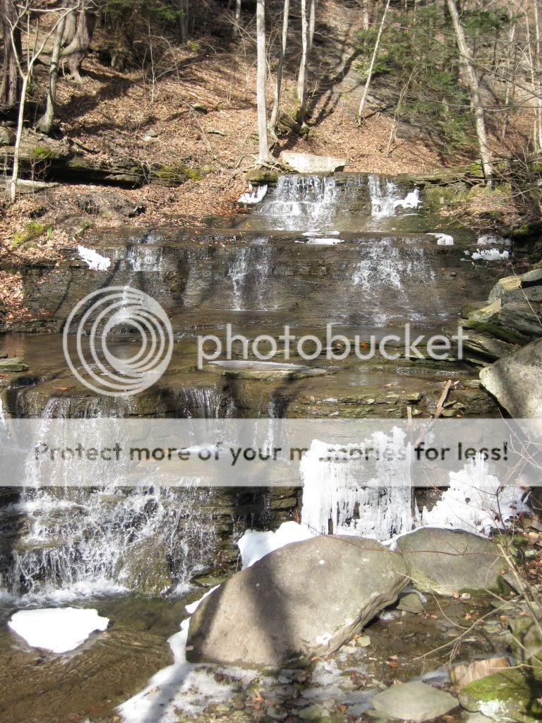 IMG_0733.jpg