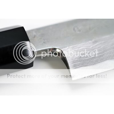 98002_2__zpsc02ce1b6.jpg