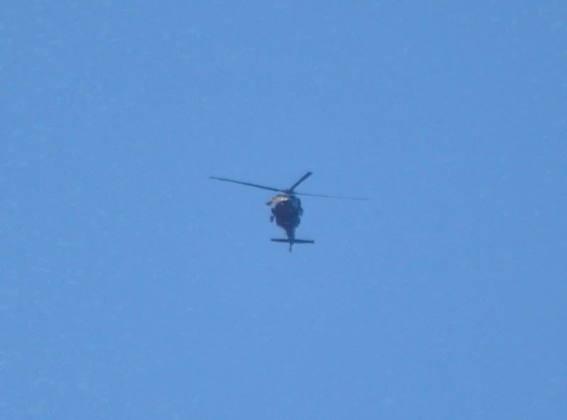 DSC_0127.jpg