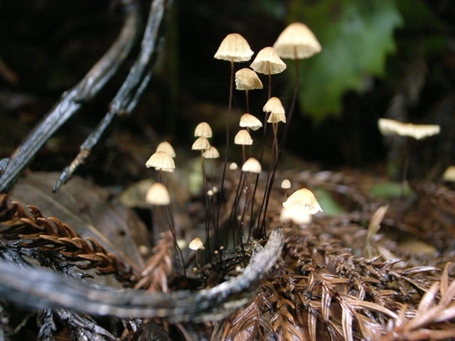 2011.05.18.R0023967.JPG
