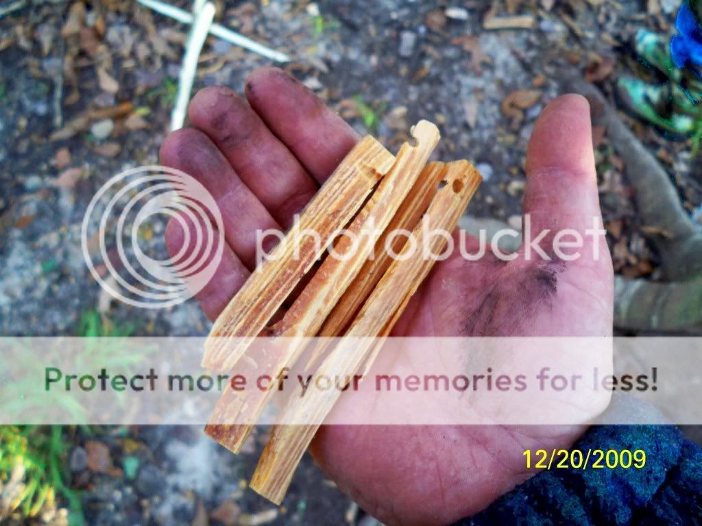 firestr6.jpg