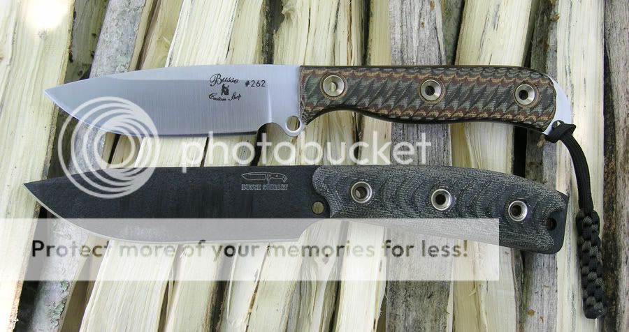 Busse-ABALEwithSAR5.jpg