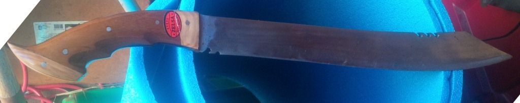 IMG_00000395_zps32719c6e.jpg