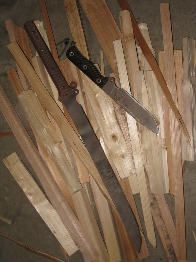 Picture320.jpg