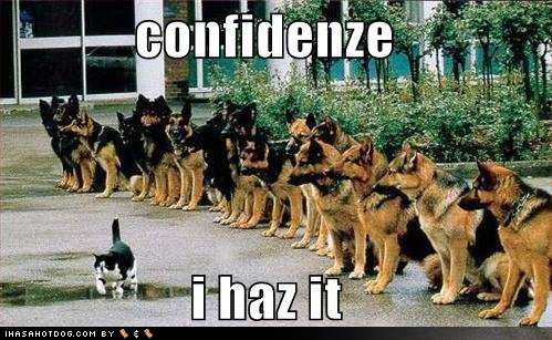 funny-dog-pictures-confidence.jpg
