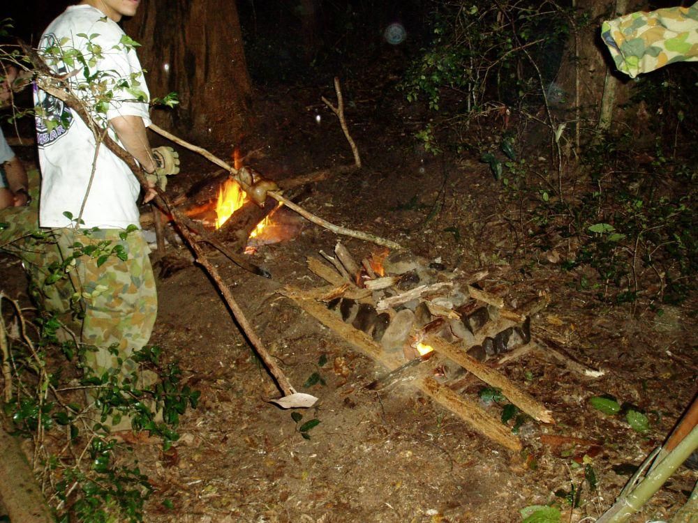 2fires.jpg