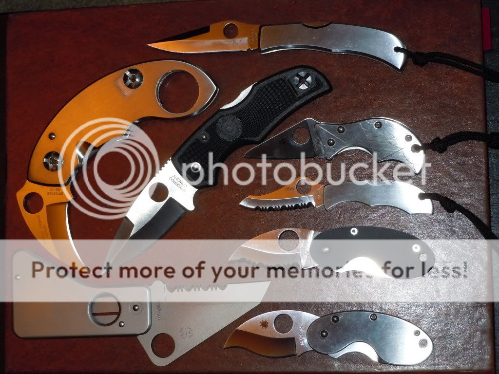 DSCN1219.jpg