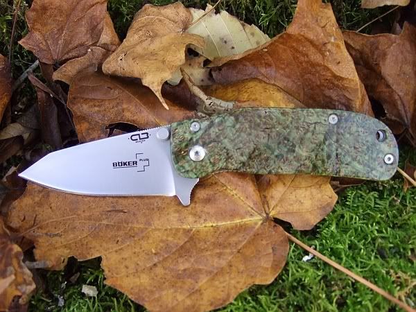 burl1.jpg