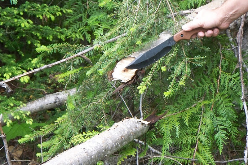 100_9680.JPG