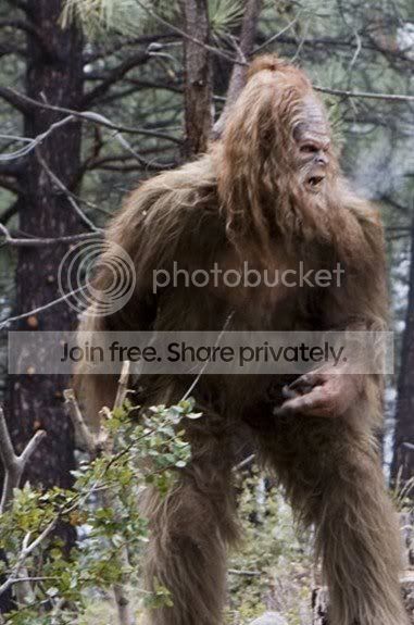 MessinWithSasquatch_2-full.jpg