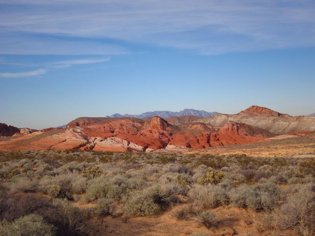 IMG_2667.jpg