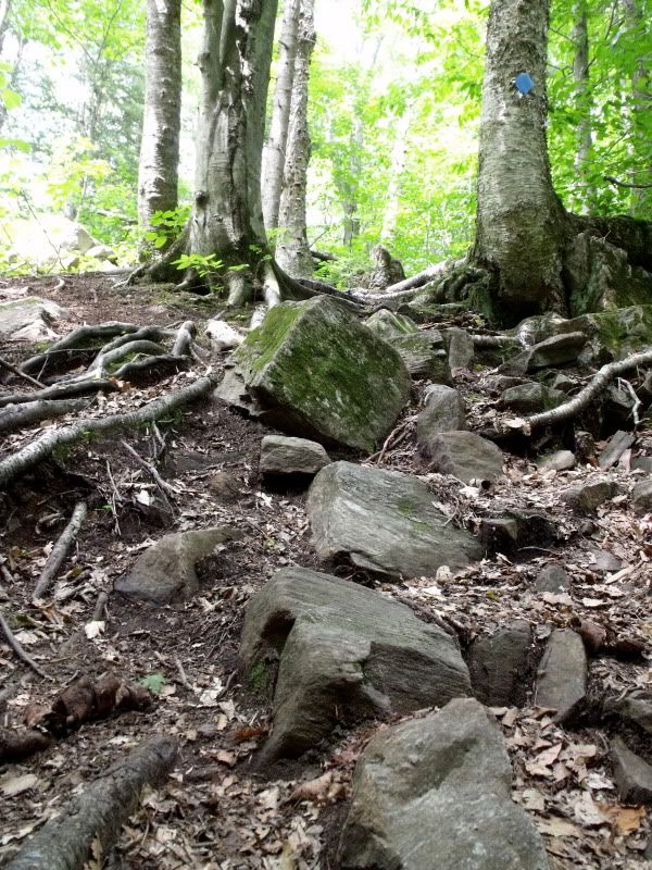 DSCF3065.jpg
