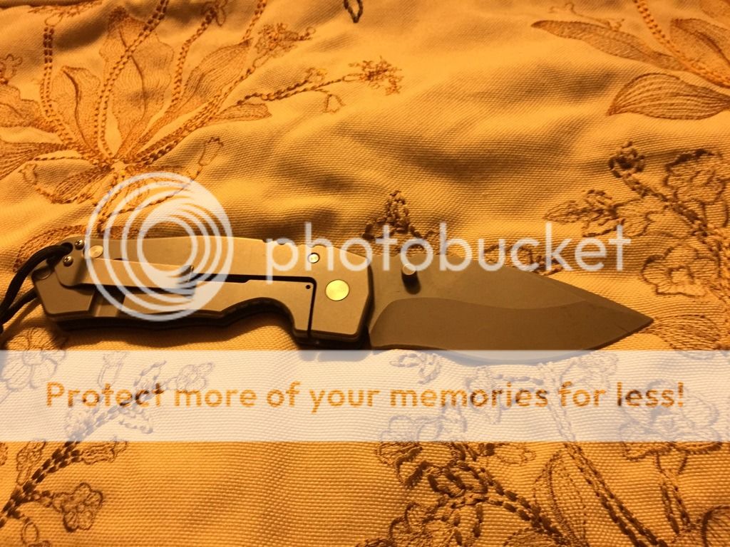IMG_0331_zpstxissh0f.jpg