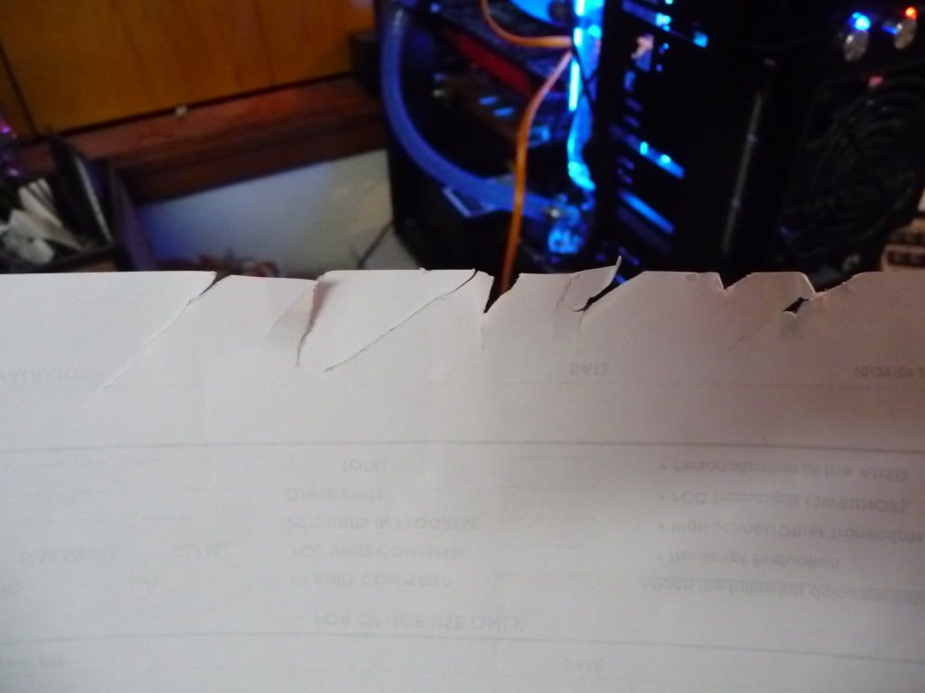 P1030314.jpg