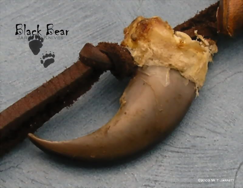 BFBlackBearClaw-1.jpg
