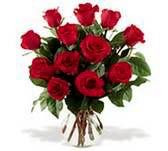 roses.jpg