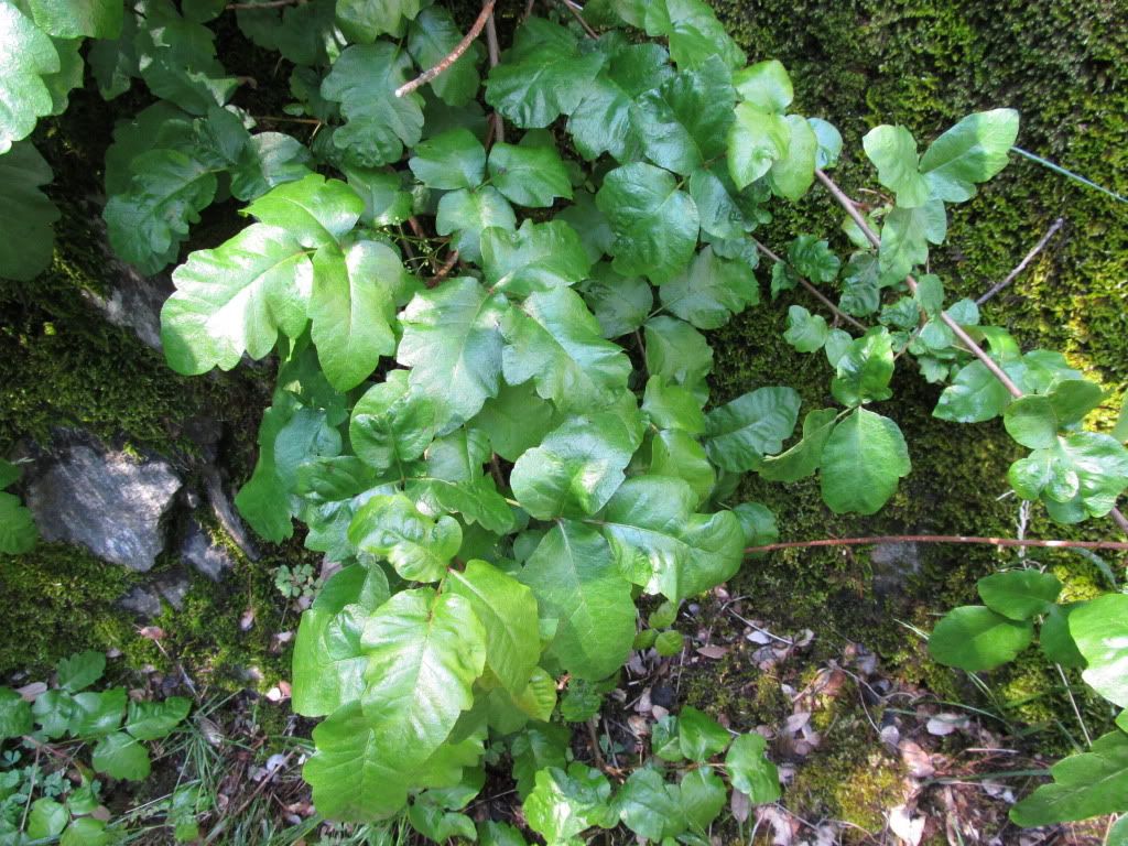 IMG_0046.jpg