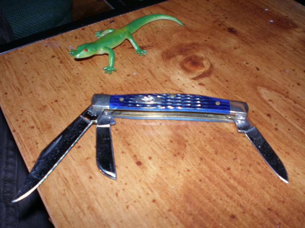 bluecasekids005.jpg