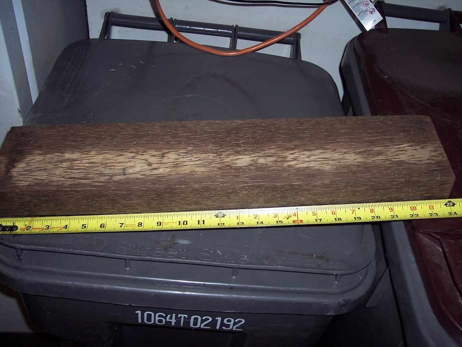 Bpalm002.jpg
