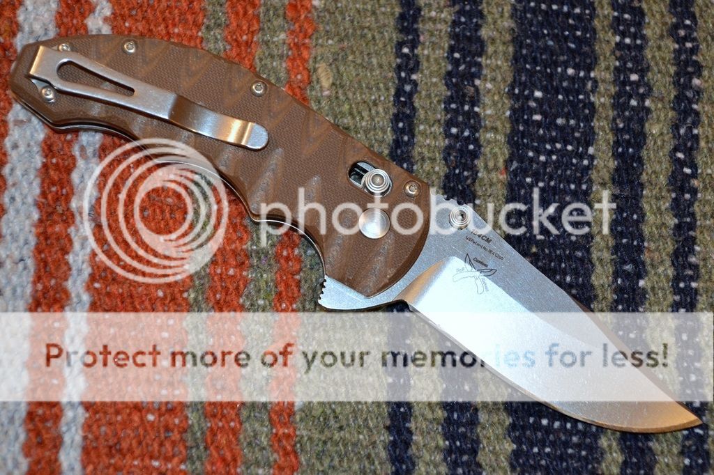 DSC_9091.jpg