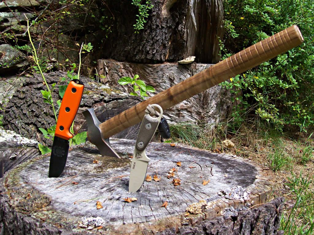 stump.jpg