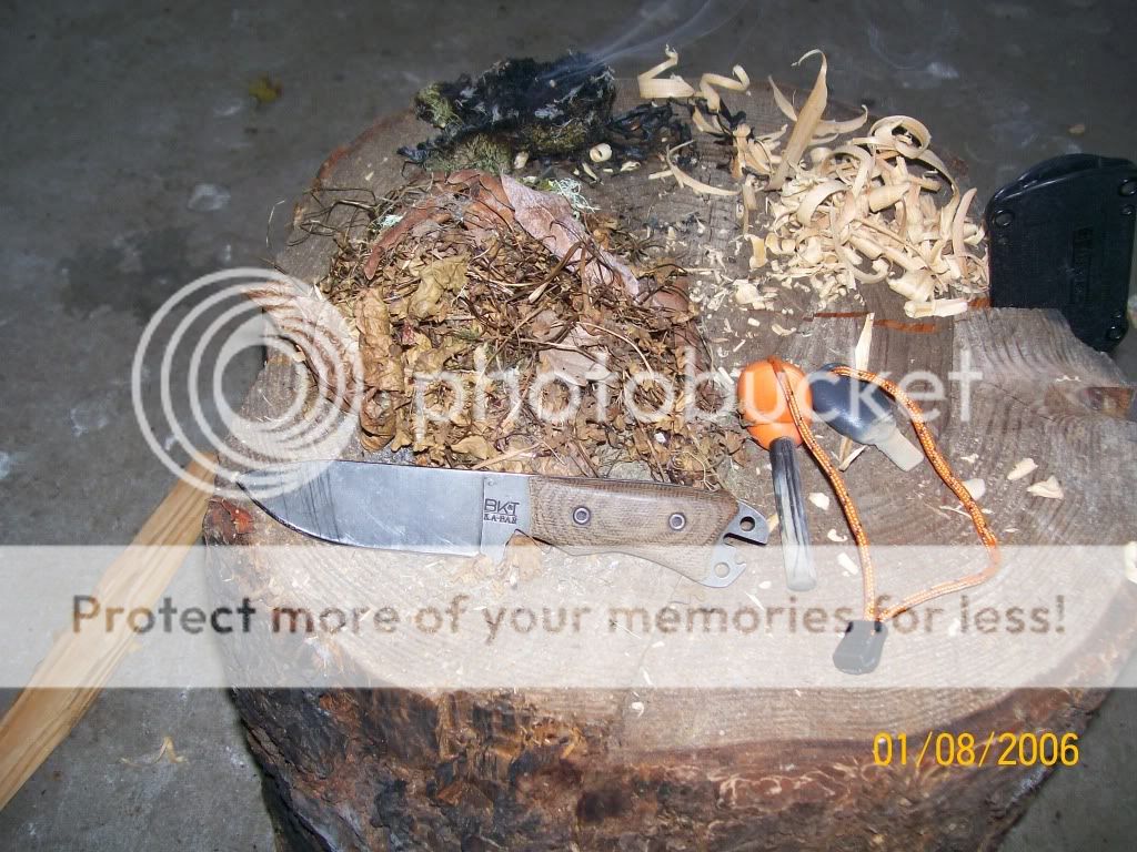 100_3753.jpg
