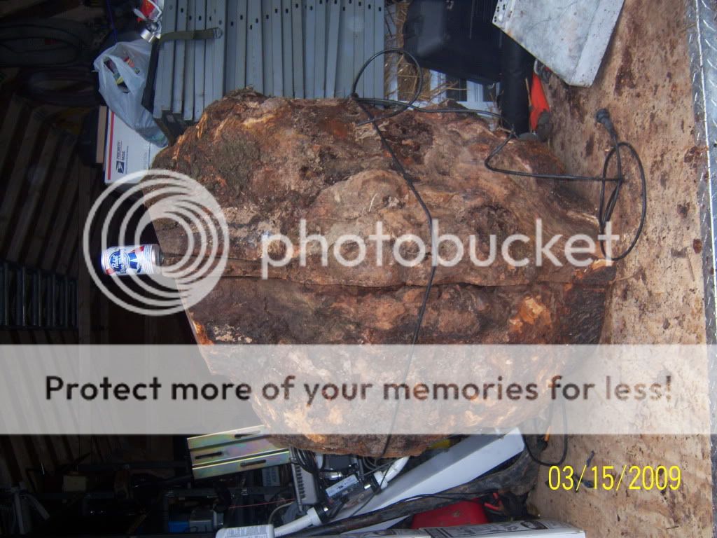 bussestuff039.jpg