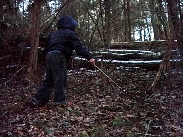P2120239-1-1.jpg
