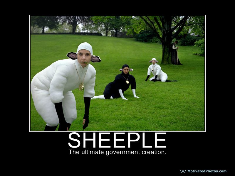 633564940352646100-sheeple.jpg