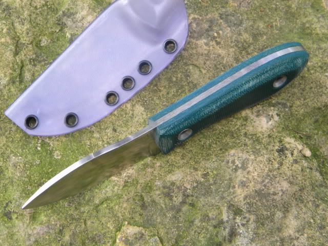 DSCN1435.jpg