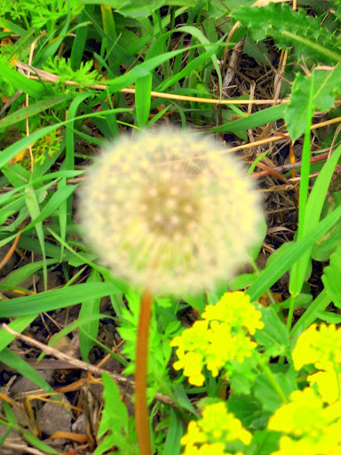 DSCN0218.JPG