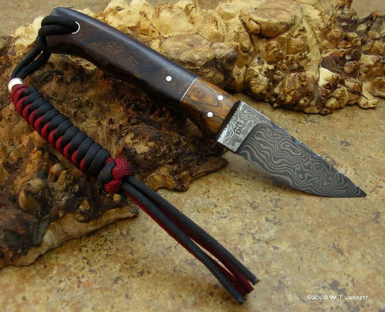 RedwolfRightProfile.jpg
