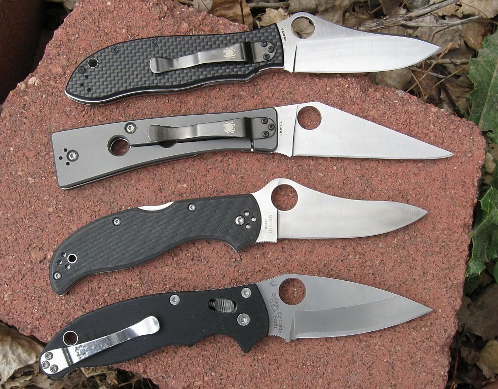 spydercoedc.jpg