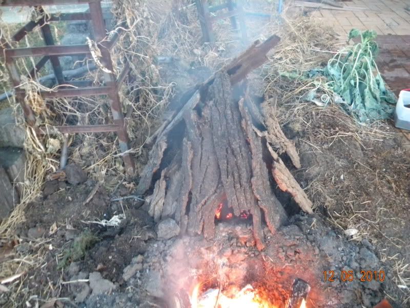 DSCN3148.jpg