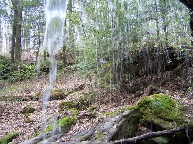 100_2908-1.jpg
