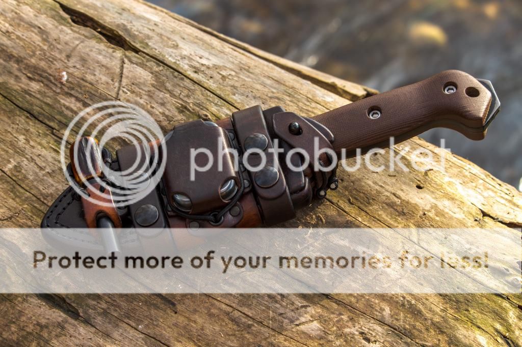 IMG_0374_zps1f789da0.jpg~original