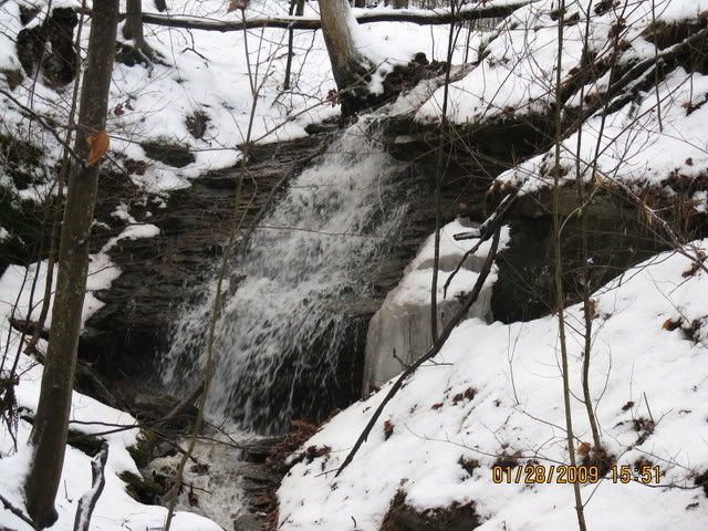 snowdayforthepets085.jpg