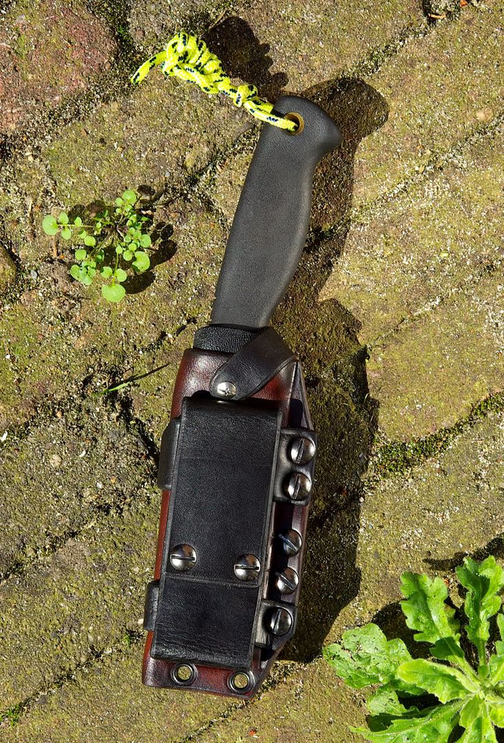 Bandicoottechnicalsheath05.jpg