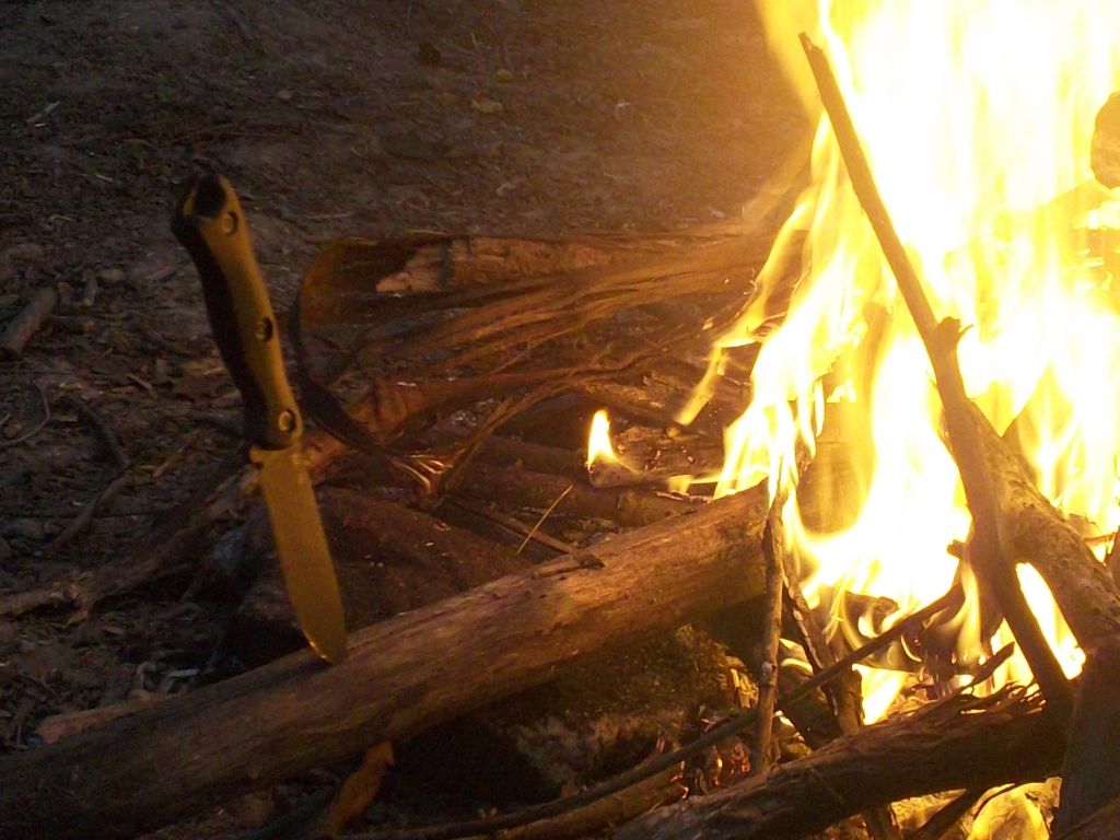 100_0239.jpg