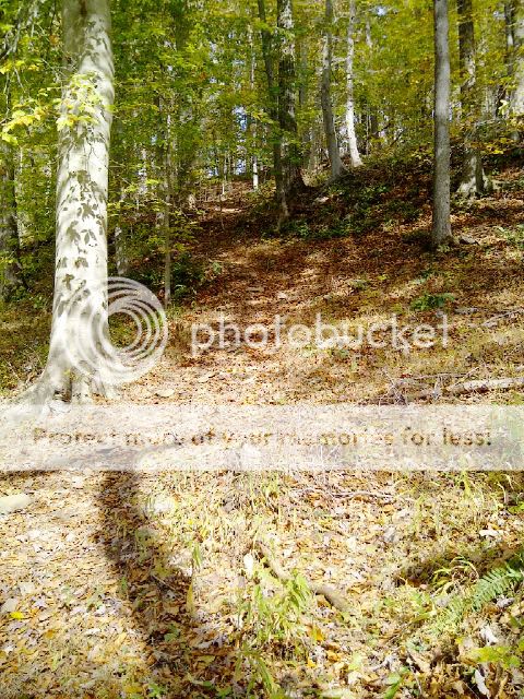 PhT_20111023_2.jpg